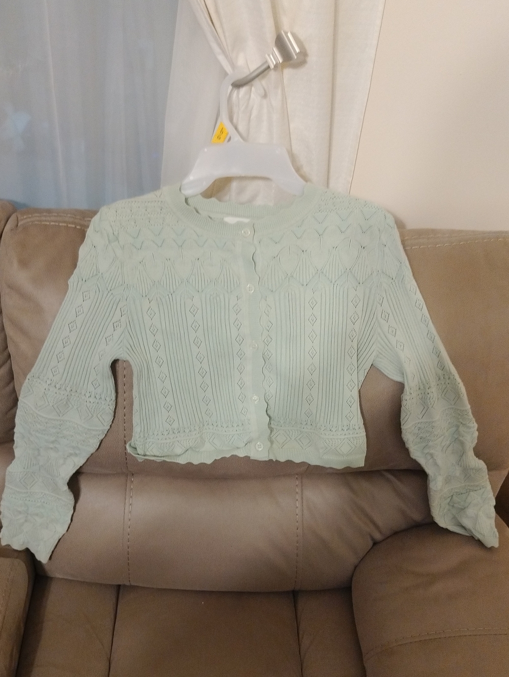 Delicate Cropped Cardigan Sweater - Mint Green